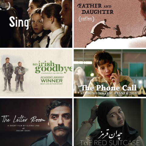 Six image collage of different short film promotional images