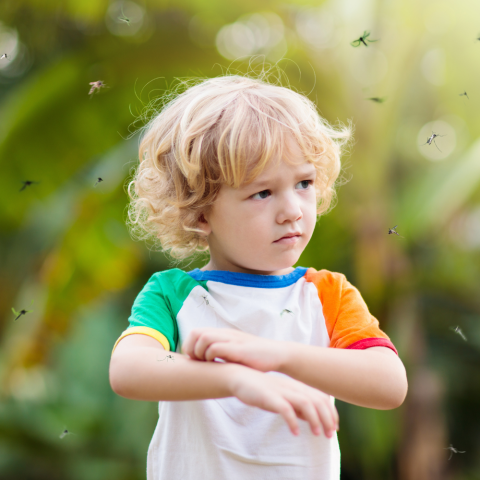 Photo of child being bit by mosquitos