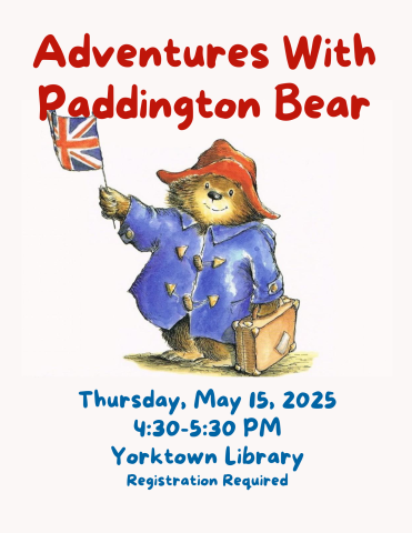 Picture of Paddington Bear