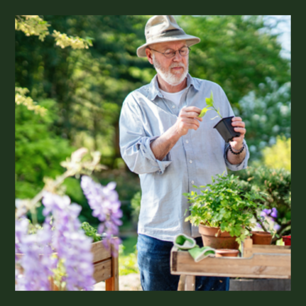 Photo of an older-looking man in a hat outside at a gardening station